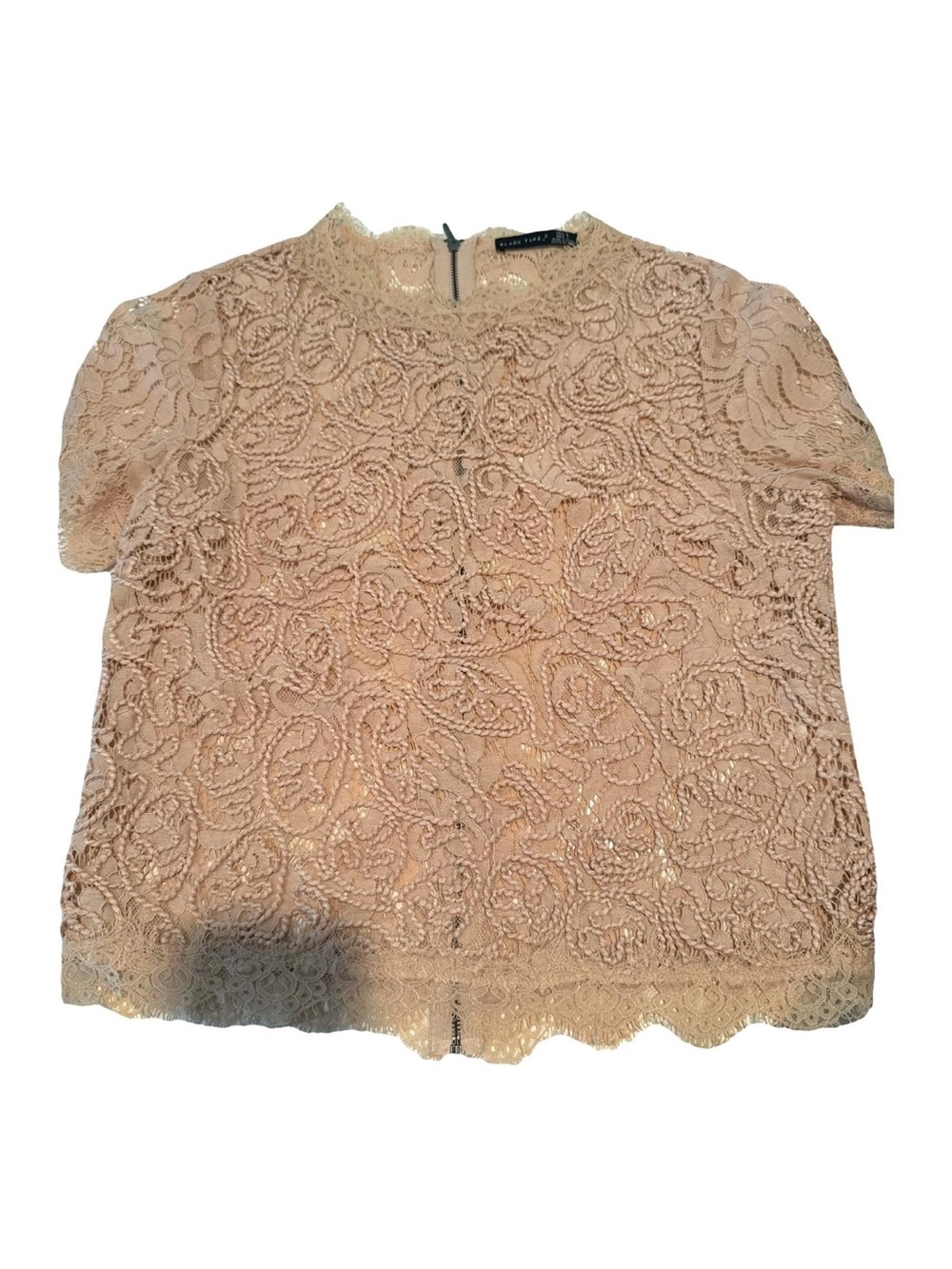 Black Tape_ Blush Lace Short Sleeve Top